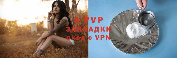 крисы Алексин