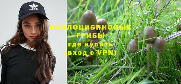 крисы Алексин