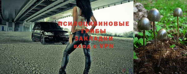 крисы Алексин