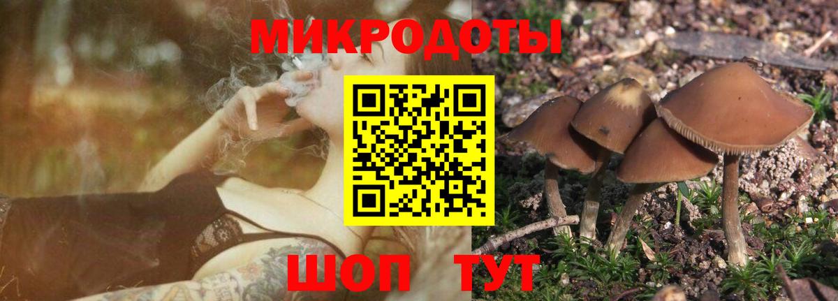 Псилоцибиновые грибы Psilocybe  Псилоцибиновые грибы мицелий  Вход с VPN  Карачаевск 