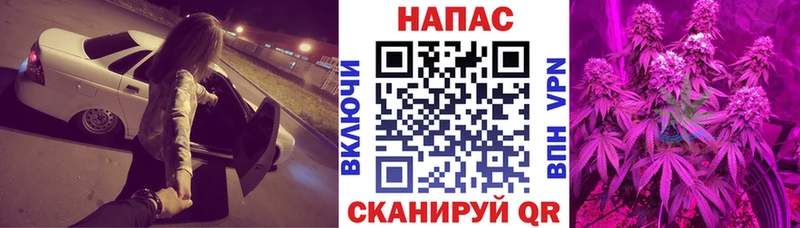 Канабис гибрид Карачаевск